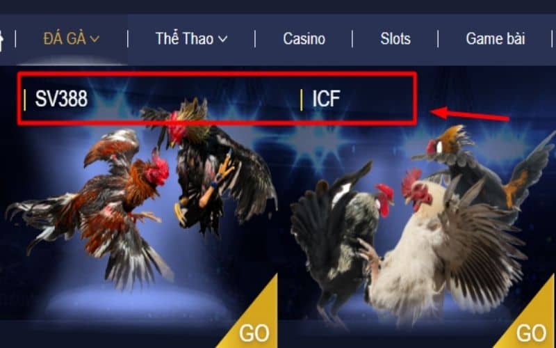Chọn 1 trong 2 sảnh cược đá gà là SV388 và ICF Chọn 1 trong 2 sảnh cược đá gà là SV388 và ICF