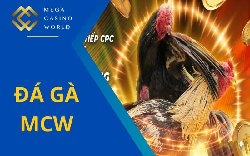 Đá gà MCW đem đến những trận đá gà kịch tính Đá gà MCW đem đến những trận đá gà kịch tính