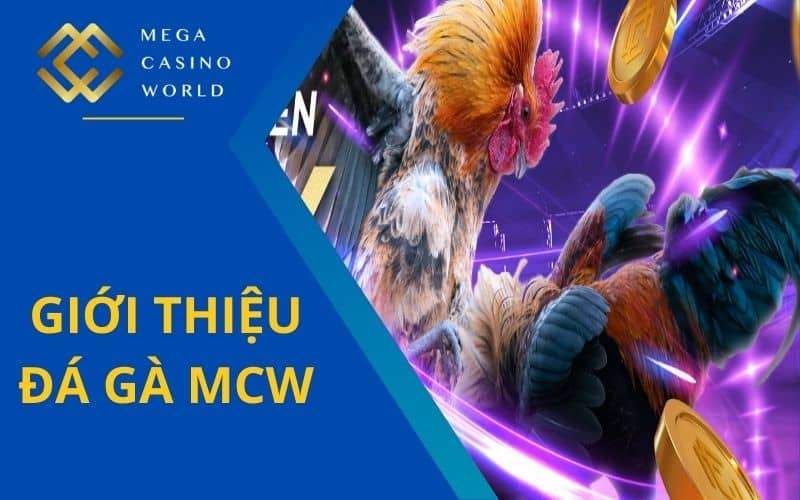 Đá gà MCW là sản phẩm cá cược đá gà trực tuyến hàng đầu hiện nay Đá gà MCW là sản phẩm cá cược đá gà trực tuyến hàng đầu hiện nay