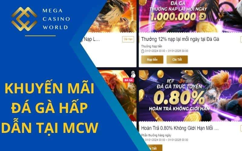 Nhận được nhiều khuyến mãi đá gà khi tham gia Nhận được nhiều khuyến mãi đá gà khi tham gia