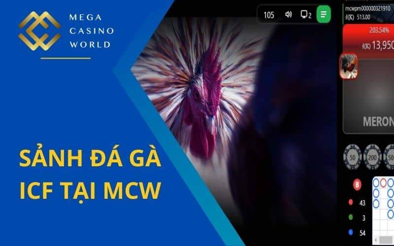 Sảnh cược ICF tại MCW nhận mọi tỷ lệ cược Sảnh cược ICF tại MCW nhận mọi tỷ lệ cược
