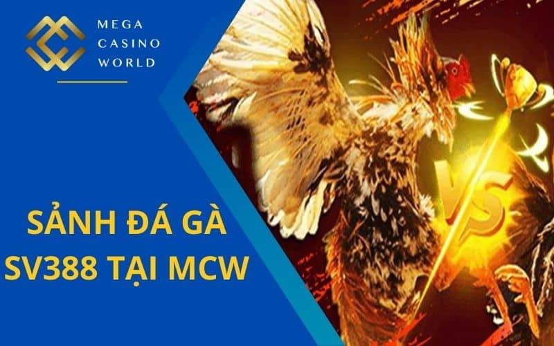 Sảnh đá gà SV388 tại MCW được ưu chuộng nhất hiện nay Sảnh đá gà SV388 tại MCW được ưu chuộng nhất hiện nay